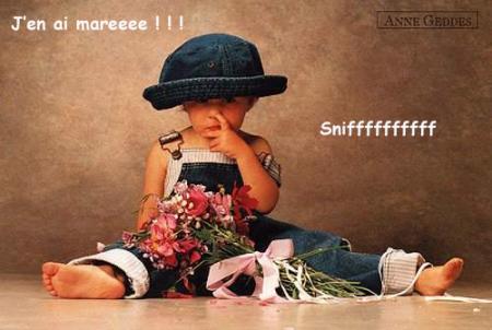 Sniffff