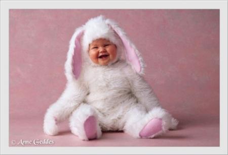 Toujours pas craquer !